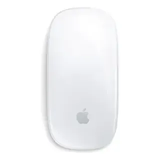 Mouse Apple Magic Multi-Touch USB-C