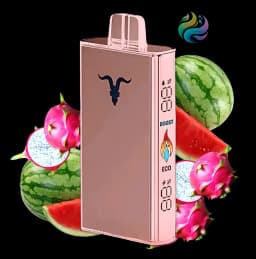 IGNITE V250 ROSE DRAGON FRUIT WATERMELON