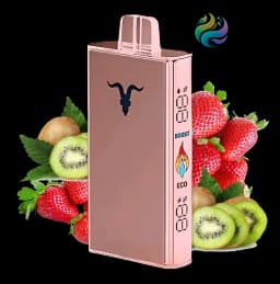 Ignite V250 - Rose 25000 PUFF - Strawberry Kiwi