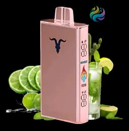 Ignite V250 - Rose 25000 PUFF - CACTUS LIME SODA