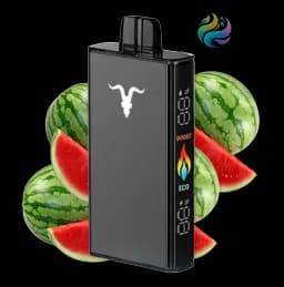 Ignite V250 - Black 25000 PUFF - WATERMELON MIX