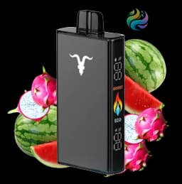 Ignite V250 - Black 25K - WATERMELON DRAGON FRUIT
