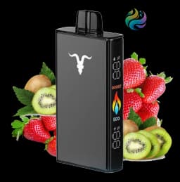 Ignite V250 - Black 25000 PUFF - STRAWBERRY KIWI