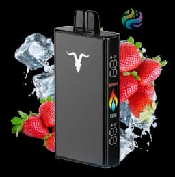 Ignite V250 - Black 25000 PUFF - STRAWBERRY ICE
