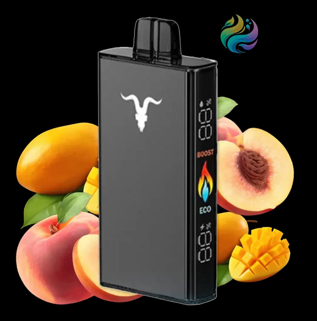 Ignite V250 - Black 25000 PUFF - PEACH MANGO