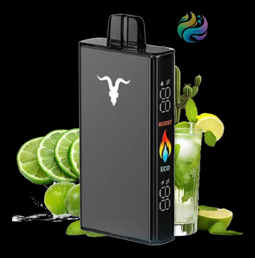 IGNITE V250 BLACK CACTUS LIME SODA