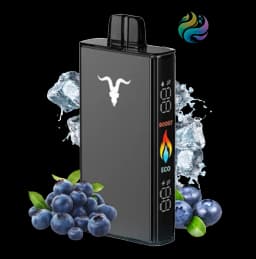 Ignite V250 - Black 25000 PUFF - BLUEBERRY ICE