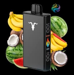 Ignite V250 - Black 25K- BANANA COCONUT WATERMELON
