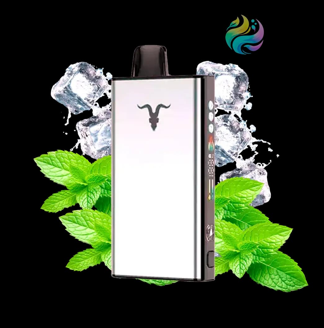 Ignite ICE - Silver 40000 PUFF - Mint